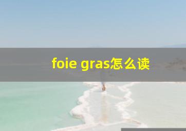 foie gras怎么读